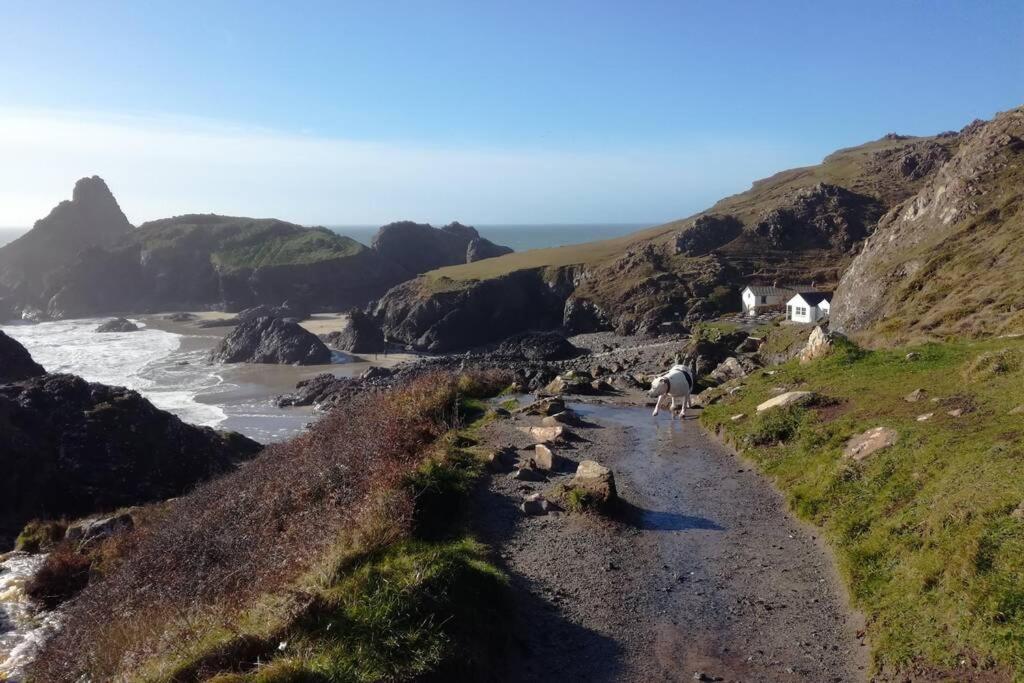Farm Accommodation - The Lizard Peninsula, Cornwall هيلستون المظهر الخارجي الصورة
