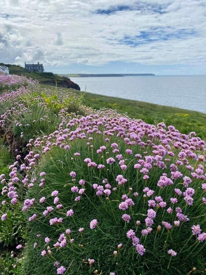 Farm Accommodation - The Lizard Peninsula, Cornwall هيلستون المظهر الخارجي الصورة