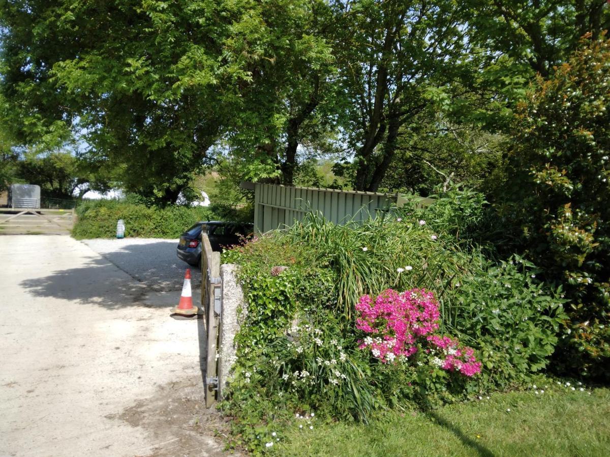 Farm Accommodation - The Lizard Peninsula, Cornwall هيلستون المظهر الخارجي الصورة